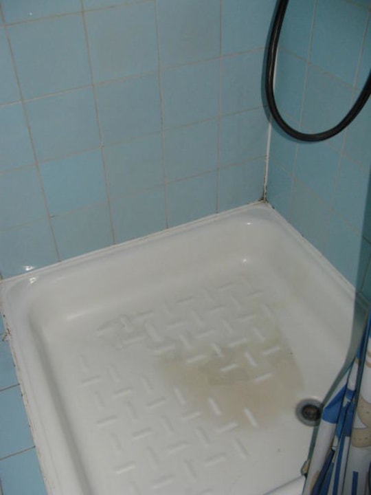 Brodzik Hotel Tulipan