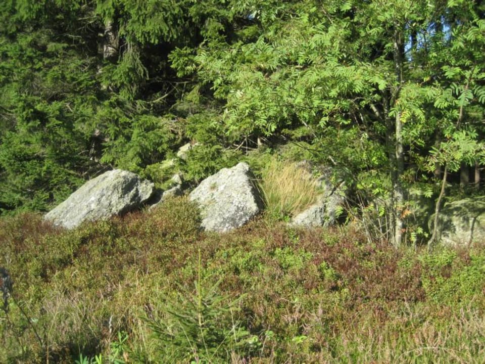Natur Highland Farm