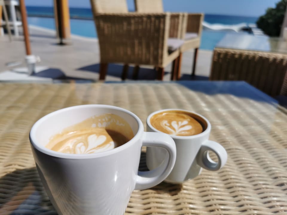 Gastro Cactus Mare - Adults only