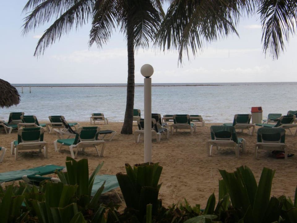 Strand whala!boca chica