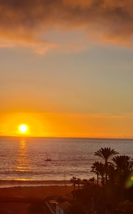 Zimmer Hotel Riu Palace Tenerife