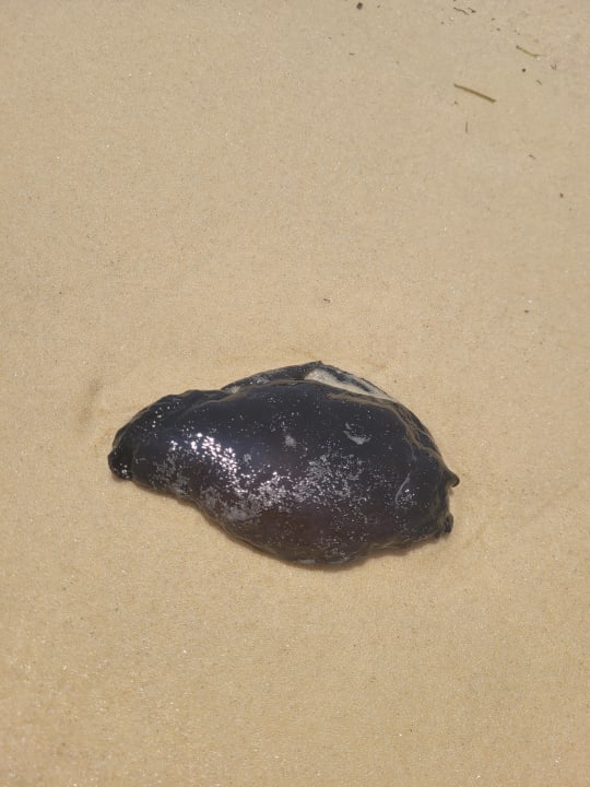 Strand El Ksar Resort & Thalasso