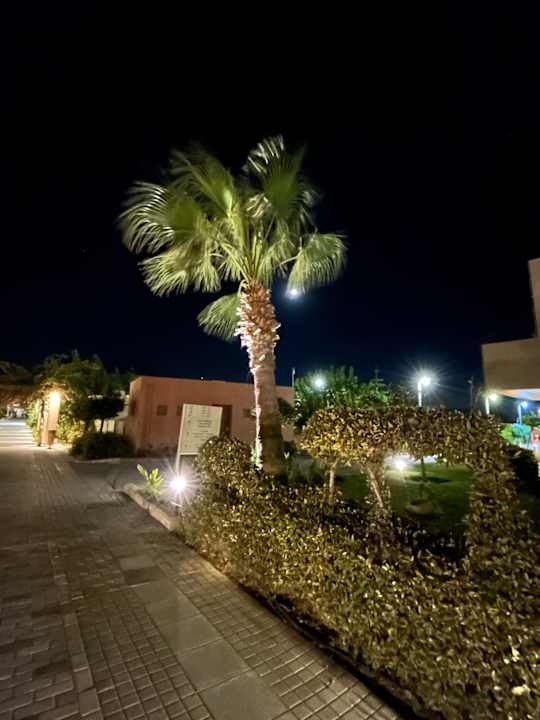 Gartenanlage Astir Odysseus Kos Resort & Spa