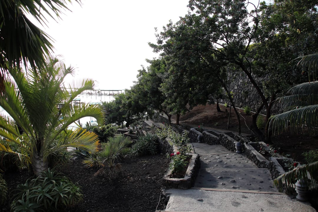 Schön angelegt La Palma Princess