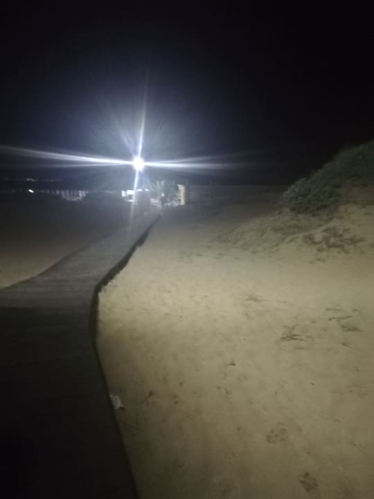 Strand Cook's Club Sunny Beach