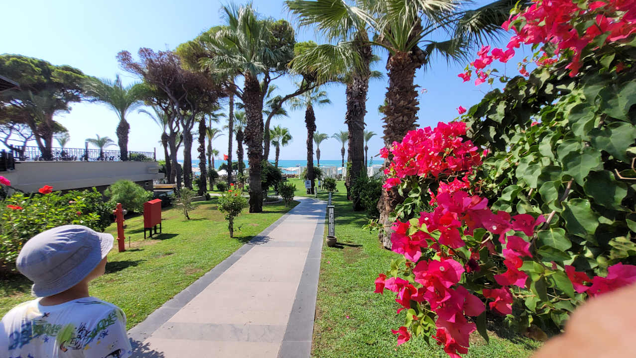 Gartenanlage Papillon Ayscha