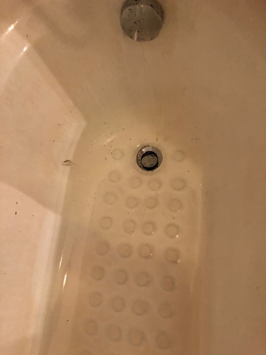 Zimmer Ghazala Beach