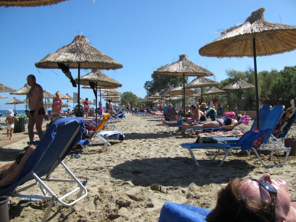 Fast wieder alles ok Anissa Beach & Village