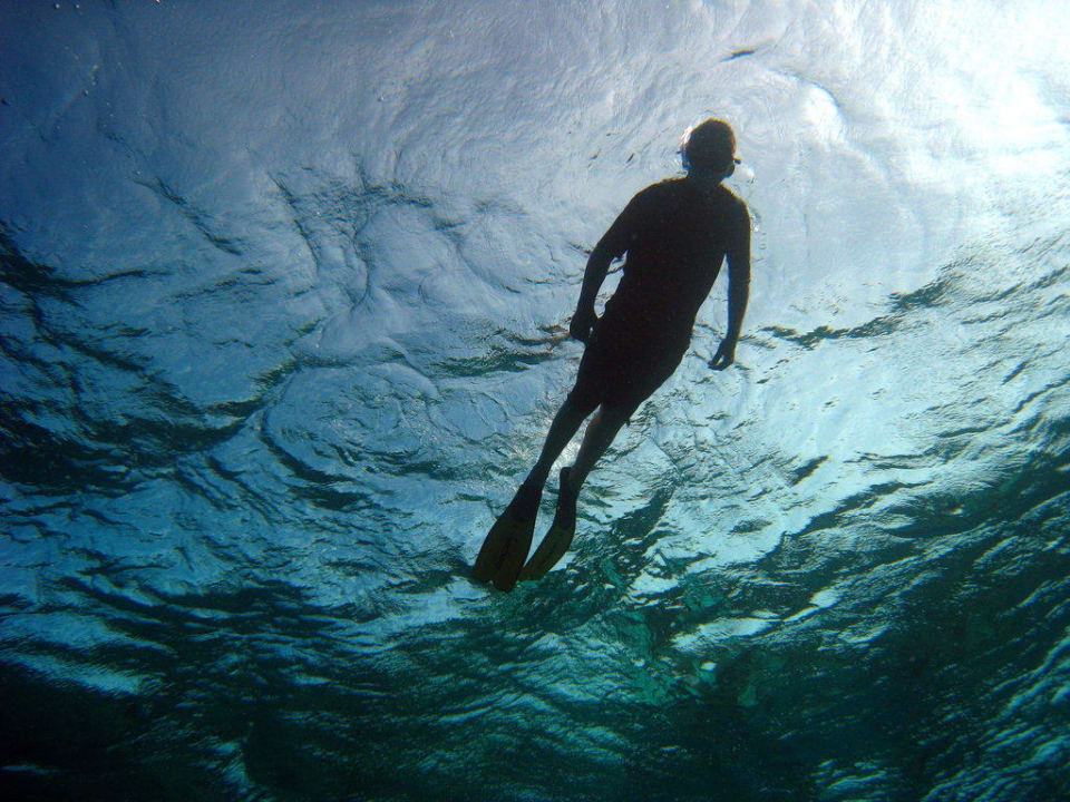 Beim schnorcheln in Kuramathi Kuramathi Maldives