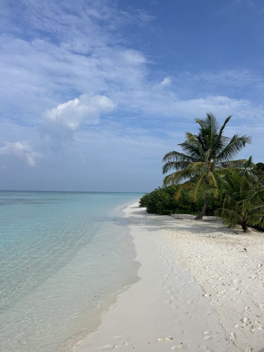 Strand Jawakara Islands Maldives