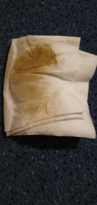 Zimmer Pension Haus Kanne