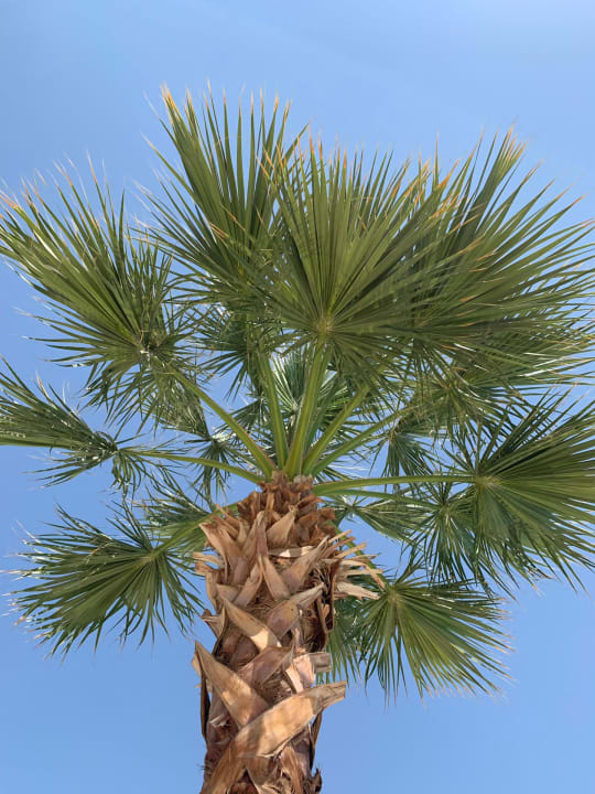 Garten Steigenberger Aqua Magic