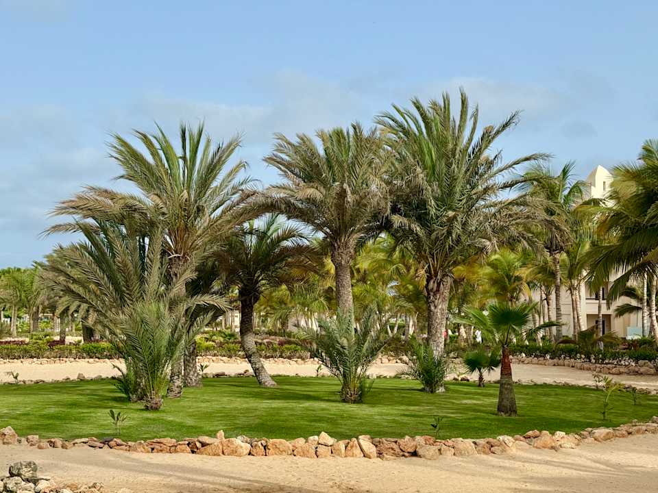 Zimmer Hotel Riu Karamboa