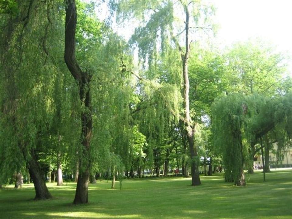 Schloßpark hinten Hotel Pałac Izbicko