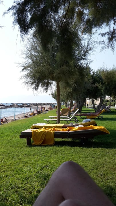 Grünflache TUI BLUE Oceanis Beach and Spa Resort