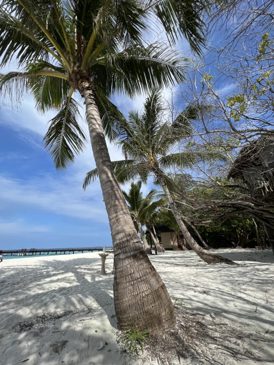 Strand Adaaran Select Meedhupparu Island Resort - Premium All Inclusive