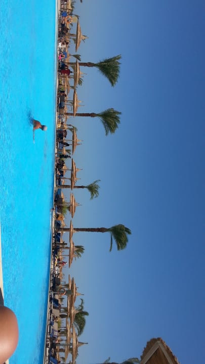 Pool Beach Albatros Resort