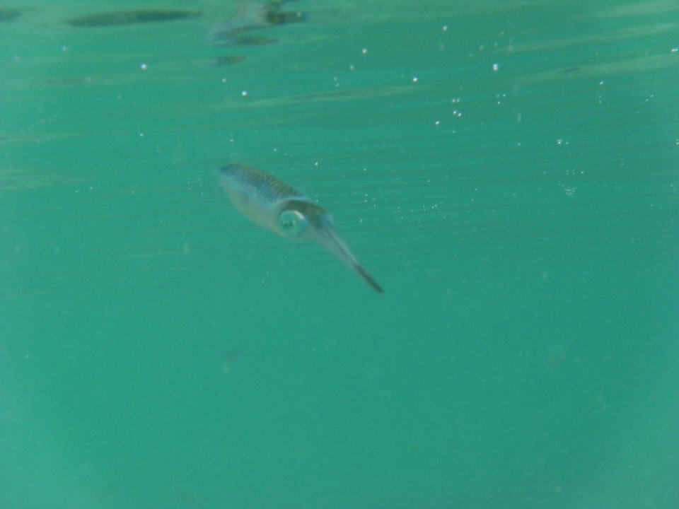 Kalmar Adaaran Select Hudhuran Fushi - Premium All Inclusive