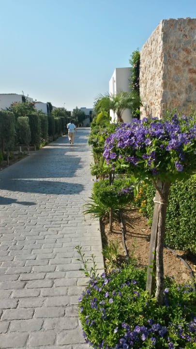 Sehr gepflegte Gartenanlage TUI BLUE Palazzo del Mare
