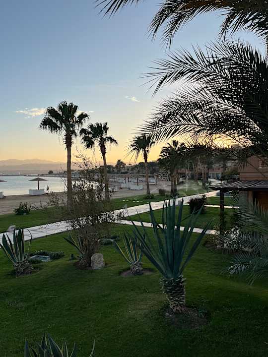 Strand Shams Prestige Abu Soma-Adults Only