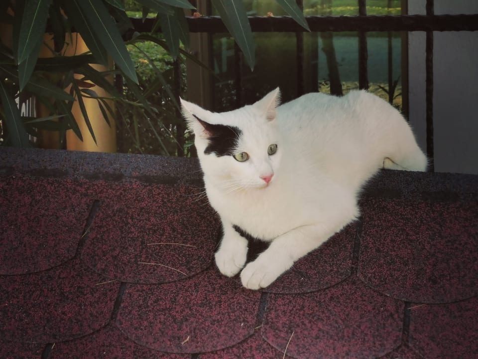 Sonstiges Aydinbey Kings Palace & Spa