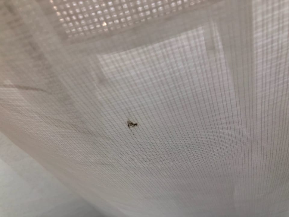 Zimmer Hotel Pine Bay Holiday Resort