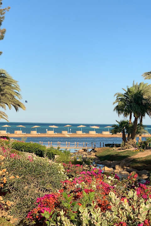 Ausblick Mövenpick Resort & Spa El Gouna
