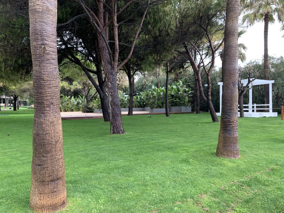 Gartenanlage Arum Barut Collection