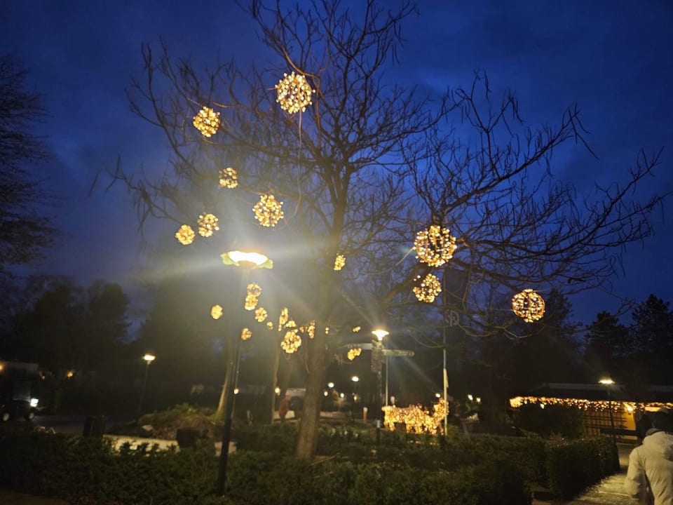 Gartenanlage Center Parcs De Kempervennen