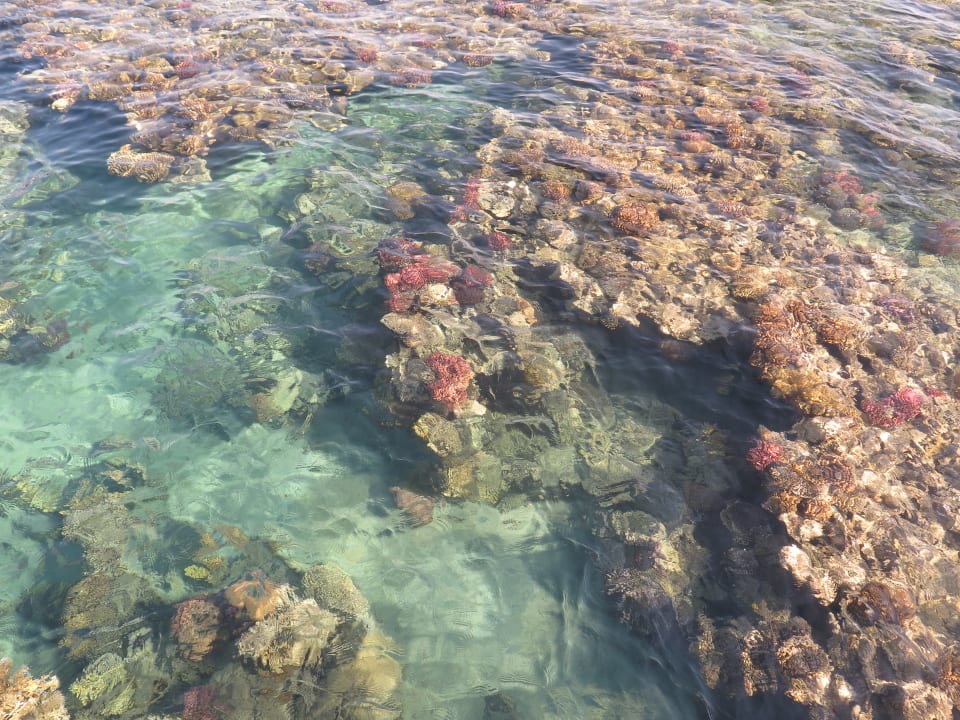 Sport & Frezeit Shams Alam Beach Resort