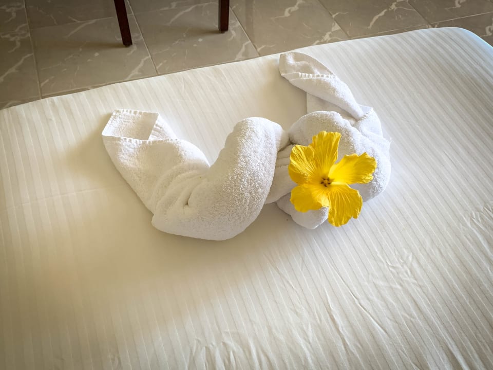 Zimmer Malikia Resort Abu Dabbab