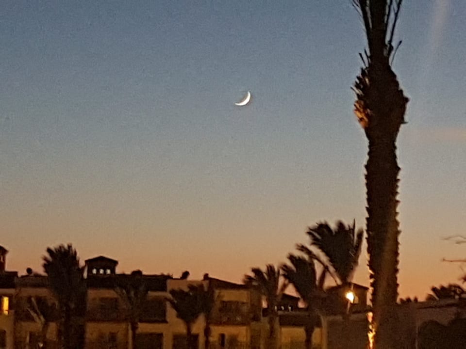 Ausblick Pickalbatros Dana Beach Resort - Hurghada