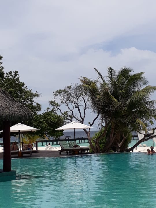 Pool Adaaran Select Meedhupparu Island Resort - Premium All Inclusive