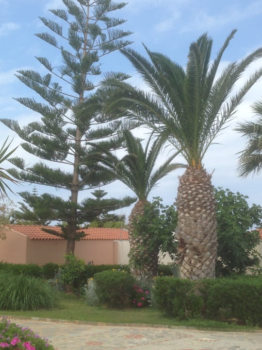 Außenansicht Iberostar Waves Creta Panorama & Mare