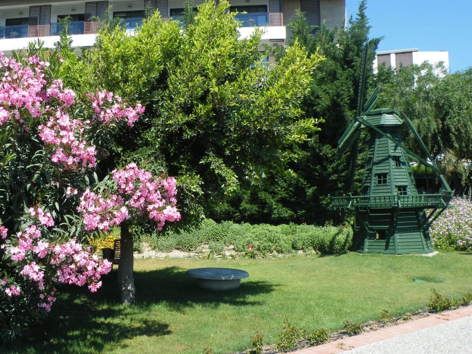 Die Mühle dreht sich sogar TUI BLUE Xanthe