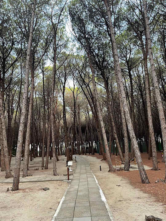 Außenansicht TUI MAGIC LIFE Calabria