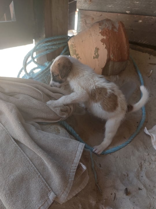 Strand TUI MAGIC LIFE Penelope Beach