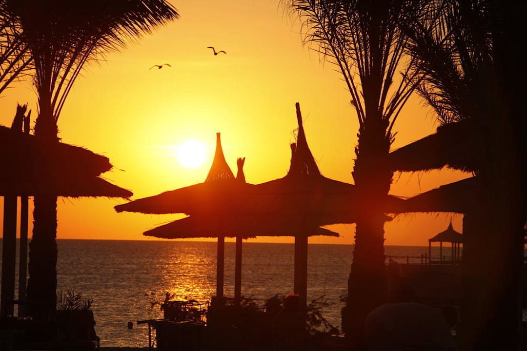 Sonnenaufgang Beach Albatros Resort