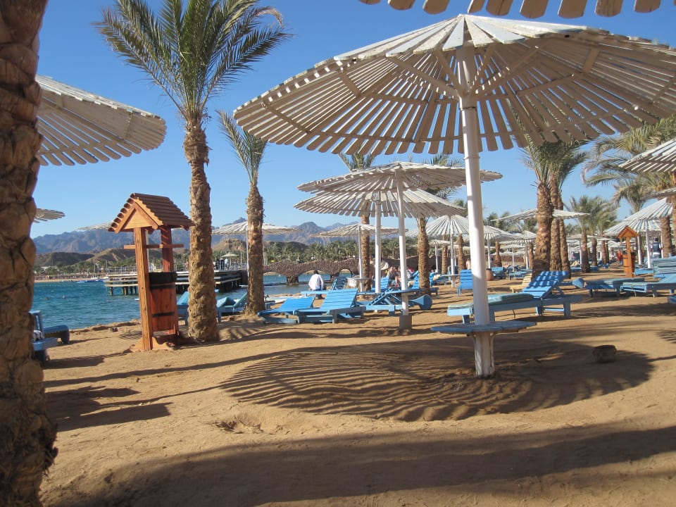 Strandliegen mit Sonnenschirm Albatros Sharm Resort