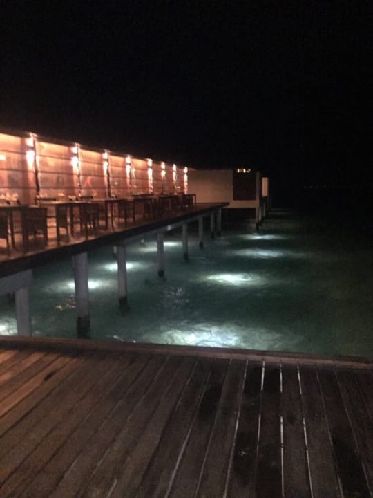 Pool Summer Island Maldives