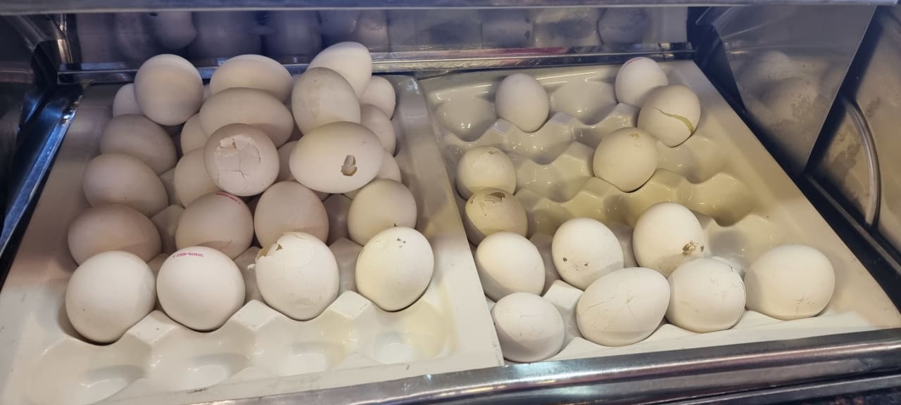 Gastro Labranda Alantur Resort