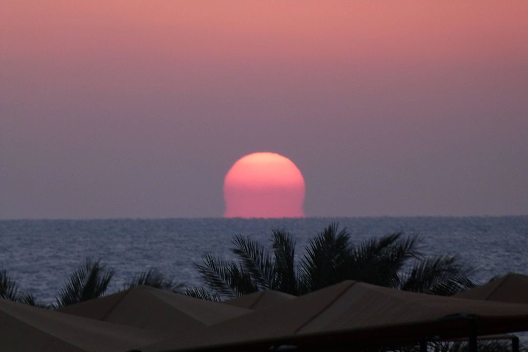 Sonnenaufgang um 6:30h Beach Albatros Resort