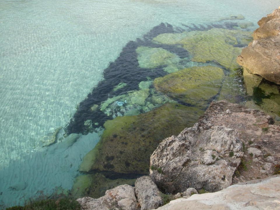 Unterwasserwelt Flipflop Cala Romantica