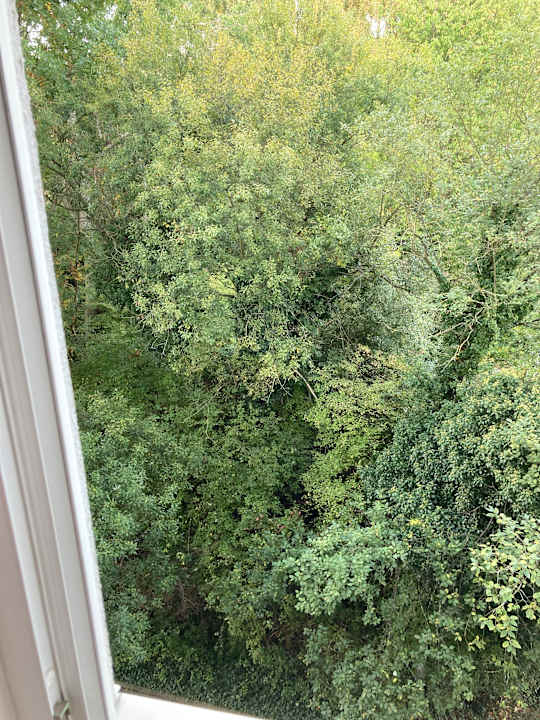 Außenansicht Best Western Plaza Hotel Zwickau