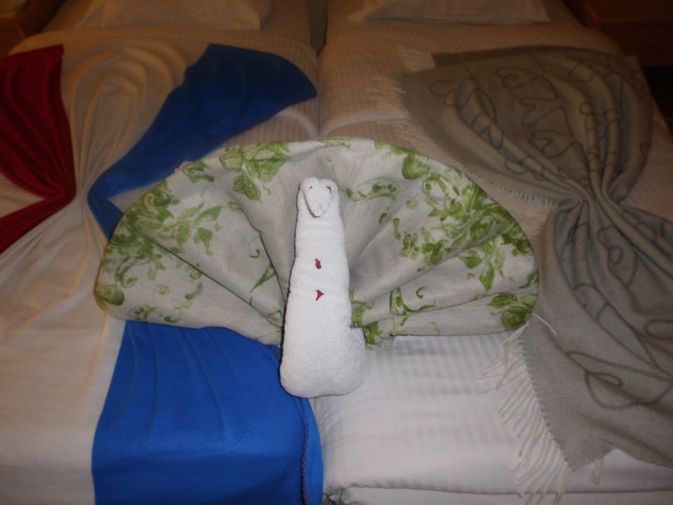 Zimmer Ghazala Gardens