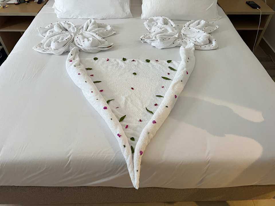 Zimmer JAZ Elite Asteria