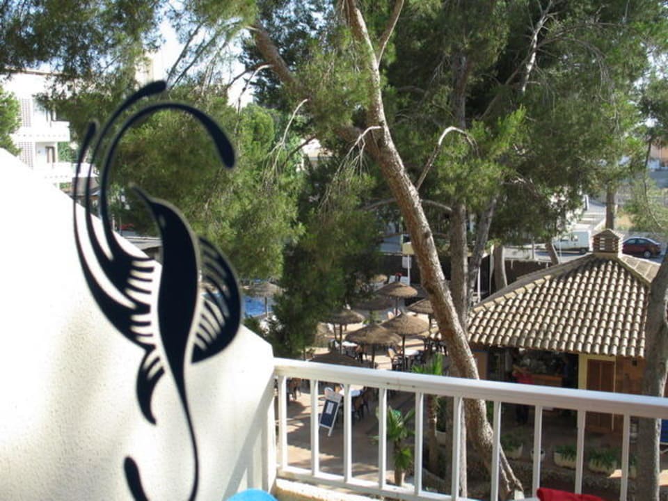 Blick auf Balkon und Pool Grupotel Montecarlo