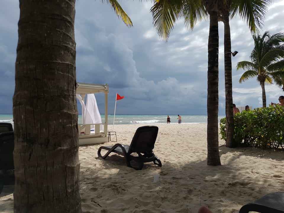 Strand Sandos Caracol Eco Resort & Spa Select Club Adults only - All Inclusive