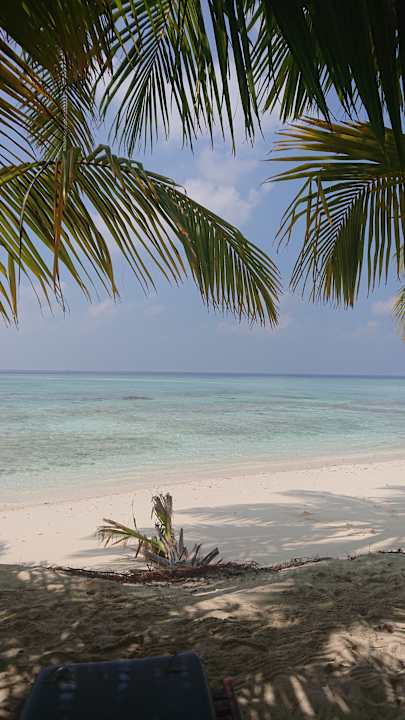 Strand Filitheyo Island Resort