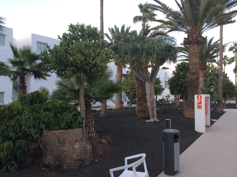 Blick vom Zimmer Sentido Aequora Lanzarote Suite